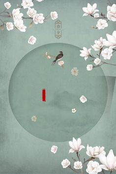 中医养生水宜方spa养生馆在线观看